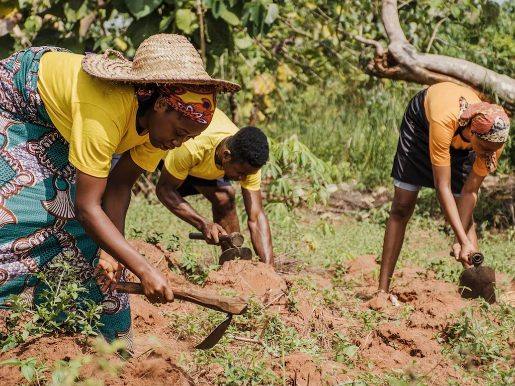 Agricultural Production